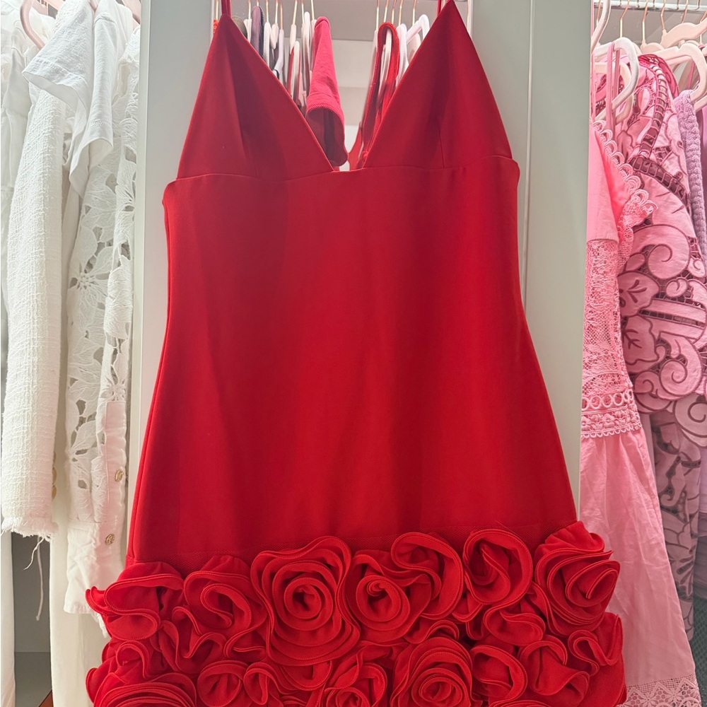Zara Red Mini Dress with Rosette Accents